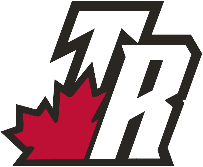 Toronto Raptors 2003-2008 Alternate Logo DIY iron on transfer (heat transfer)